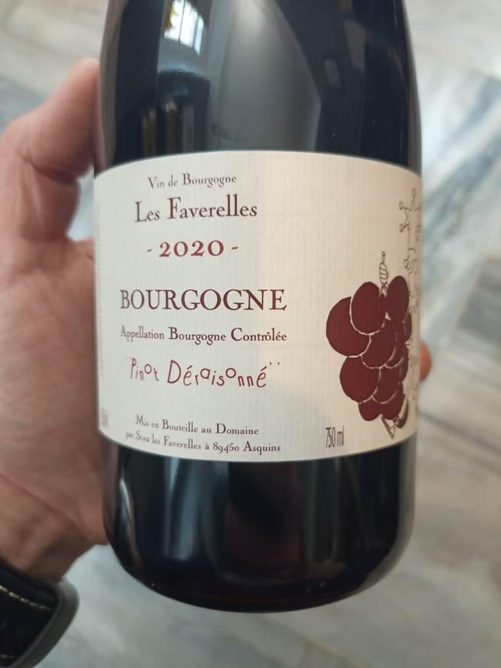 Pinot Déraisonné - Domaine des Faverelles - Isabelle & Patrick Georgelin 