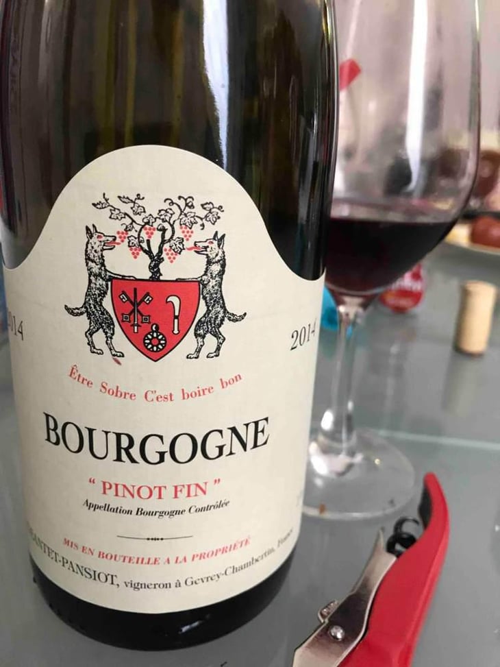 Pinot Fin - Géantet-Pansiot - Vincent Géantet 