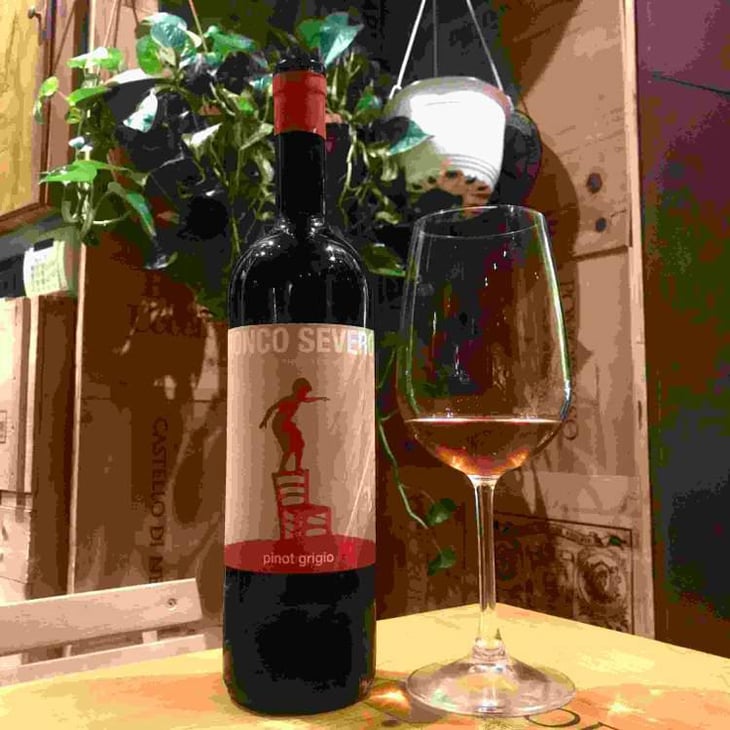 Pinot Grigio - Ronco Severo - Stefano Novello 