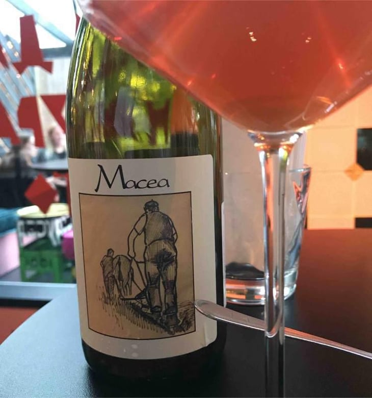 Pinot Grigio - Azienda Agricola Macea - Cipriano & Antonio Barsanti 