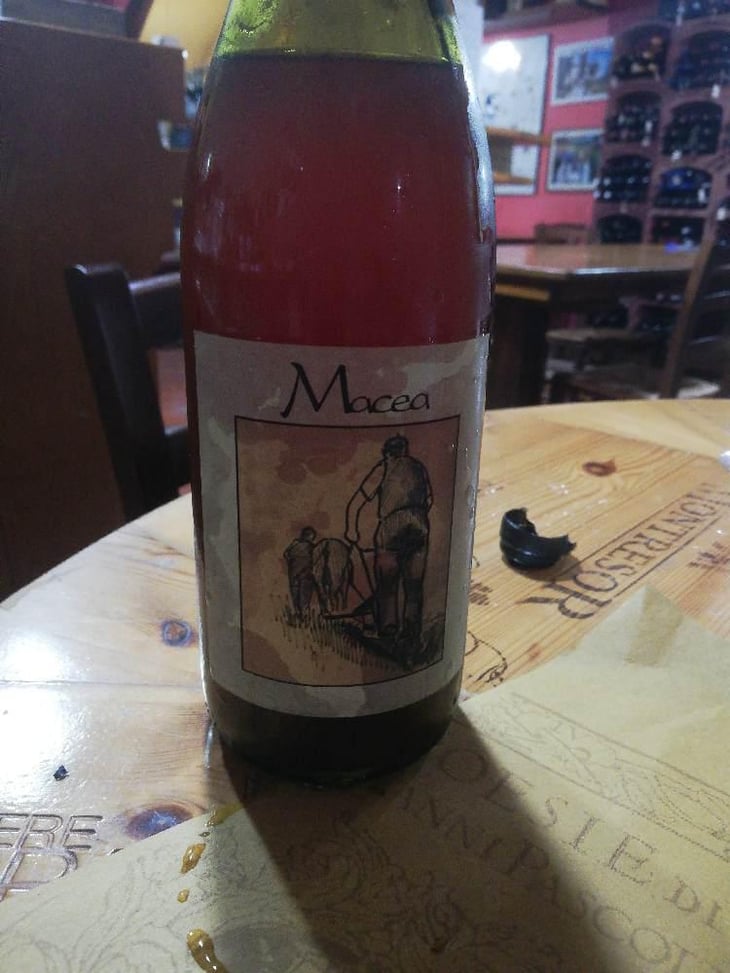 Pinot Grigio - Azienda Agricola Macea - Cipriano & Antonio Barsanti 