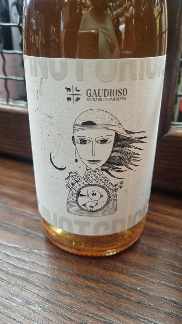 Pinot Grigio - Azienda Agricola Gaudioso - Antonio & Rosa Gaudioso 