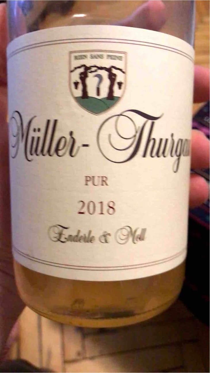 Grauburgunder - Enderle & Moll - Florian Moll & Max Lecat 