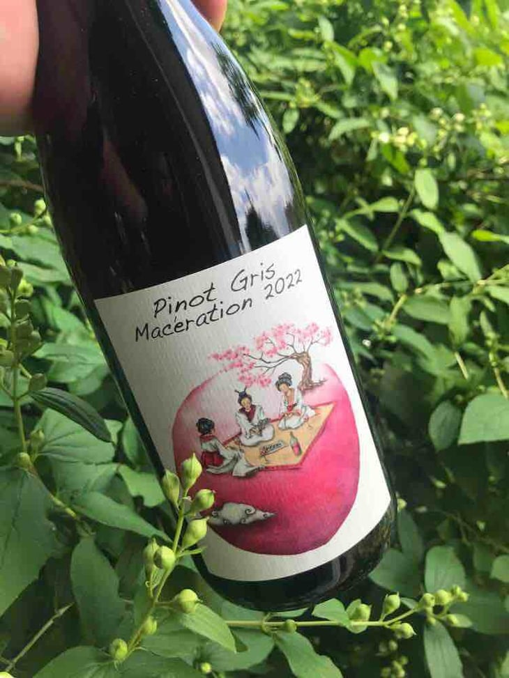 Pinot Gris Macération - Domaine des Petites Planètes - Guillaume Bodin -2022