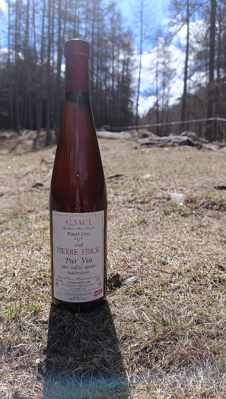 Pinot Gris 'V' - Domaine Pierre Frick - Jean-Pierre, Chantal et Thomas Frick 