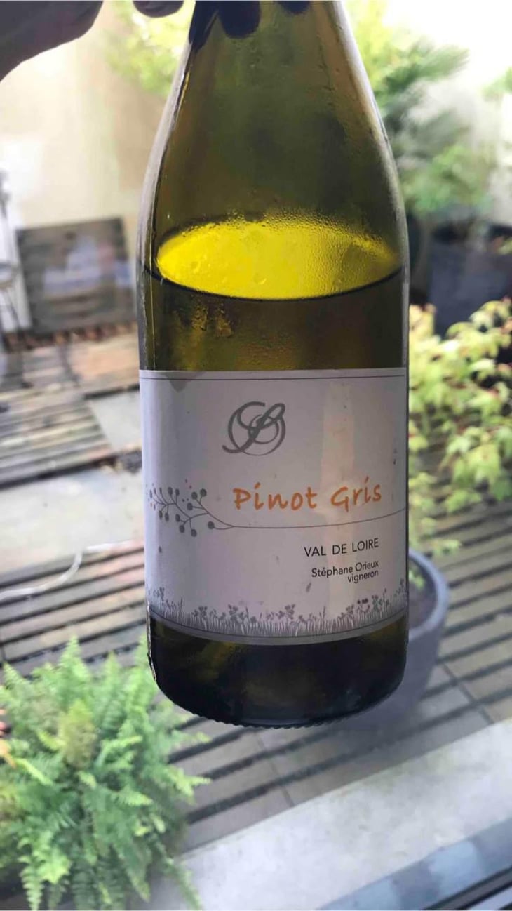Pinot Gris - Val De Loire - Domaine De La Bregeonnete - Stéphane Orieux 