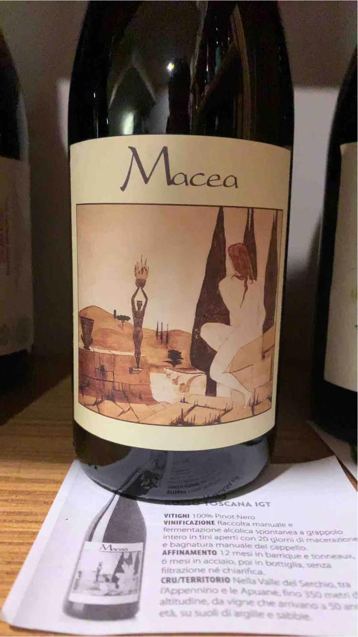 Pinot Nero - Azienda Agricola Macea - Cipriano & Antonio Barsanti 