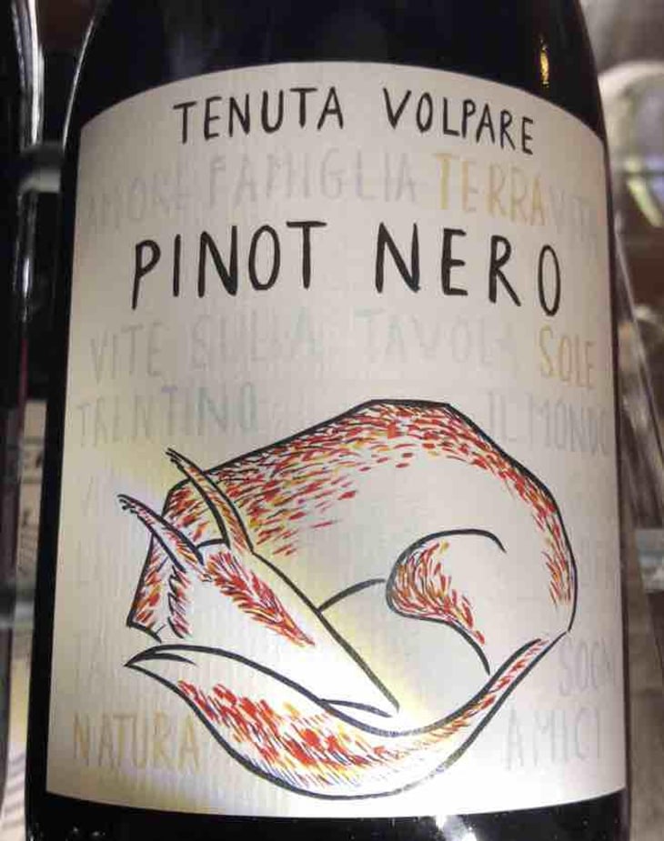 Pinot nero - Tenuta Volpare - Tenuta Volpare -2022