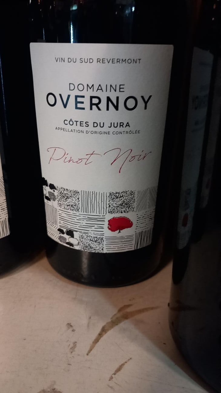 Pinot Noir - Domaine Overnoy - Guillaume Overnoy 