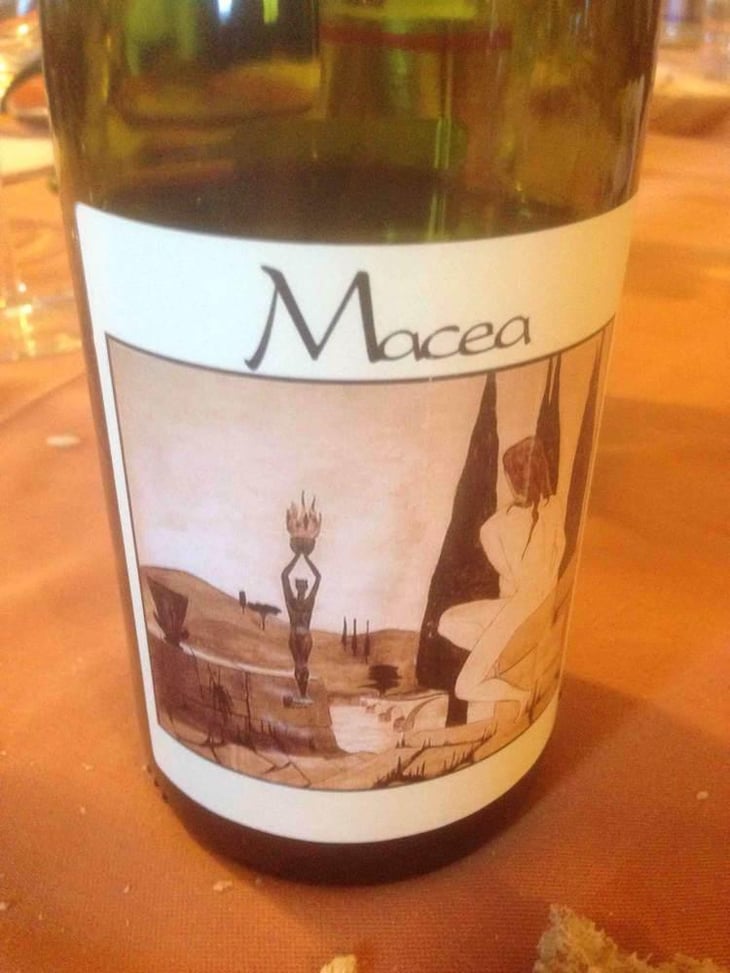Pinot Nero - Azienda Agricola Macea - Cipriano & Antonio Barsanti 
