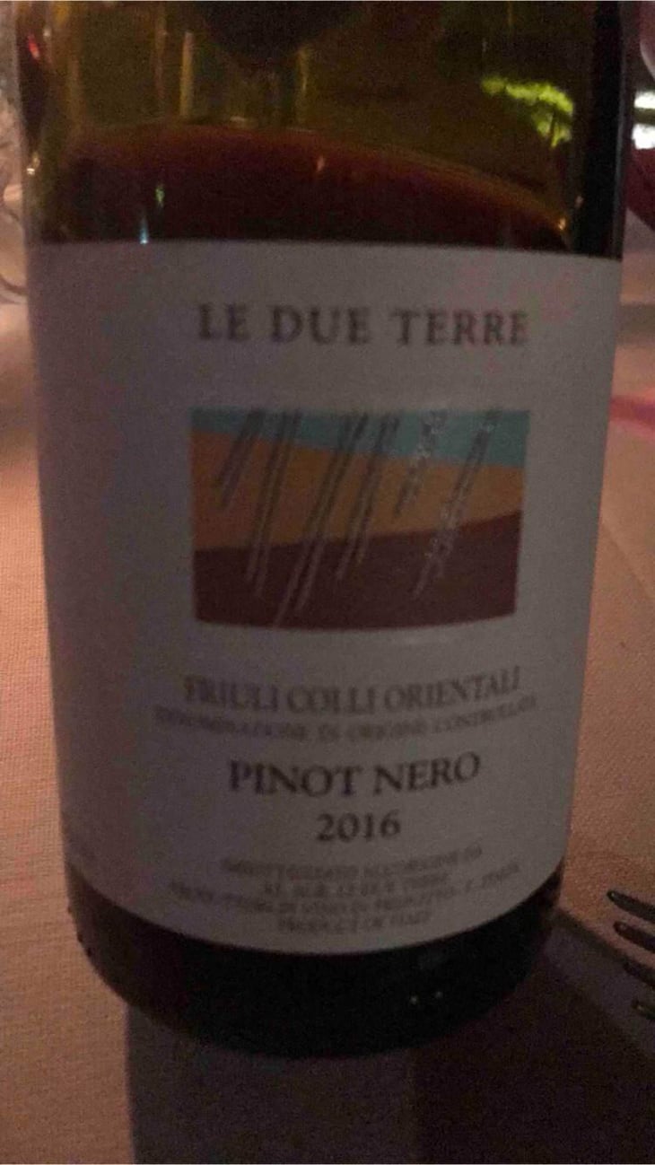 Pinot Nero - Le Due Terre - Silvana Forte, Flavio e Cora Basilicata 