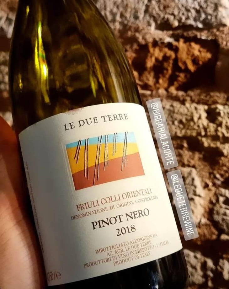 Pinot Nero - Le Due Terre - Silvana Forte, Flavio e Cora Basilicata 