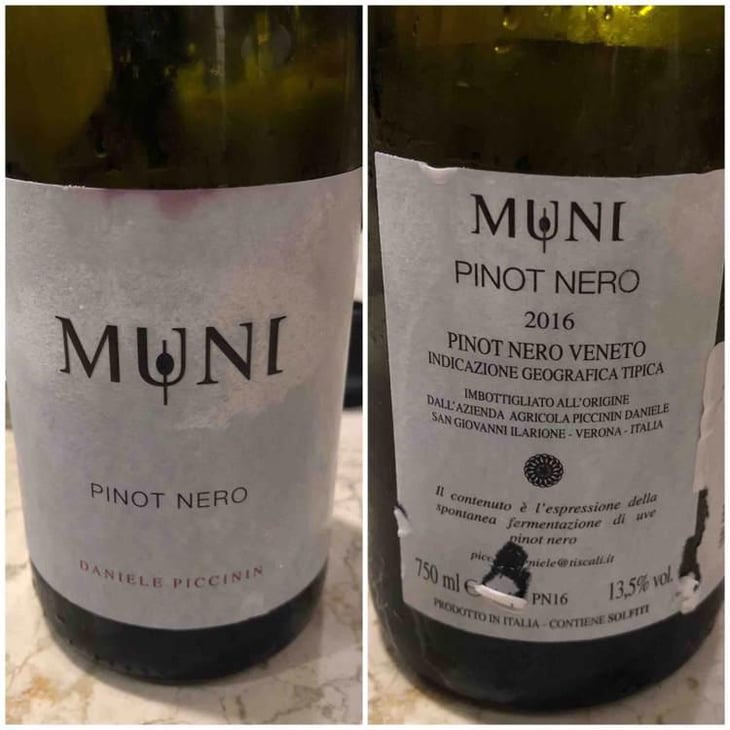 Pinot Nero - Muni Di Daniele Piccinin - Daniele Piccinin 