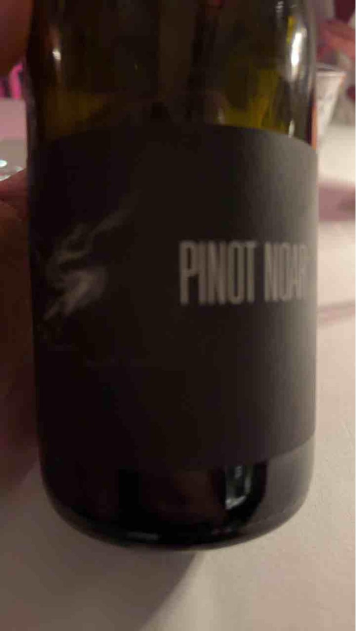 Pinot Noar - Maison Pinot Noar - Arnaud Lopez 