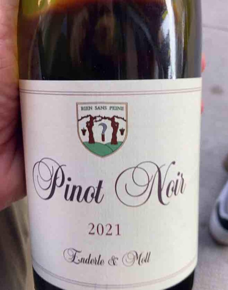 Pinot Noir - Enderle & Moll - Florian Moll & Max Lecat 