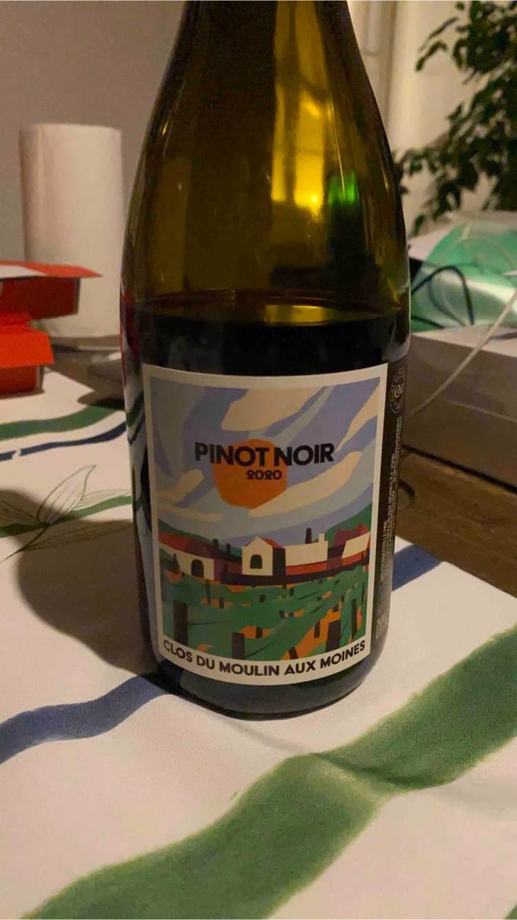 Pinot Noir - Clos Du Moulin Aux Moines - Willy Roulendes & Famille Andrieu 