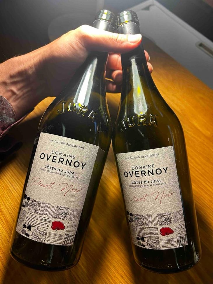 Pinot Noir - Domaine Overnoy - Guillaume Overnoy 