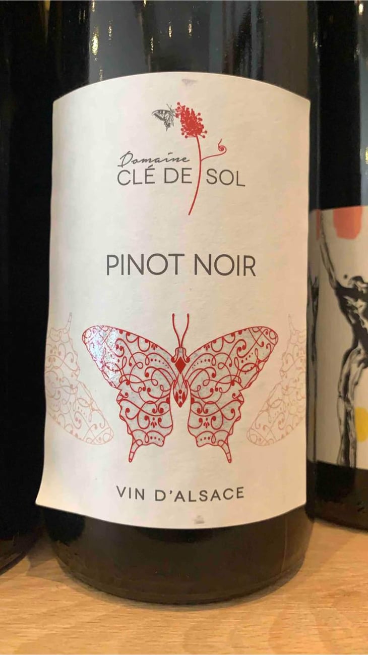 Pinot Noir - Domaine Clé de Sol - Jean & Simon Baltenweck & Yannick Mignot 