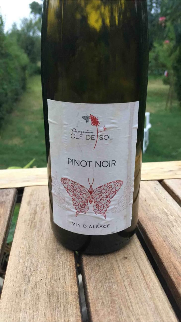 Pinot Noir - Domaine Clé de Sol - Jean & Simon Baltenweck & Yannick Mignot 