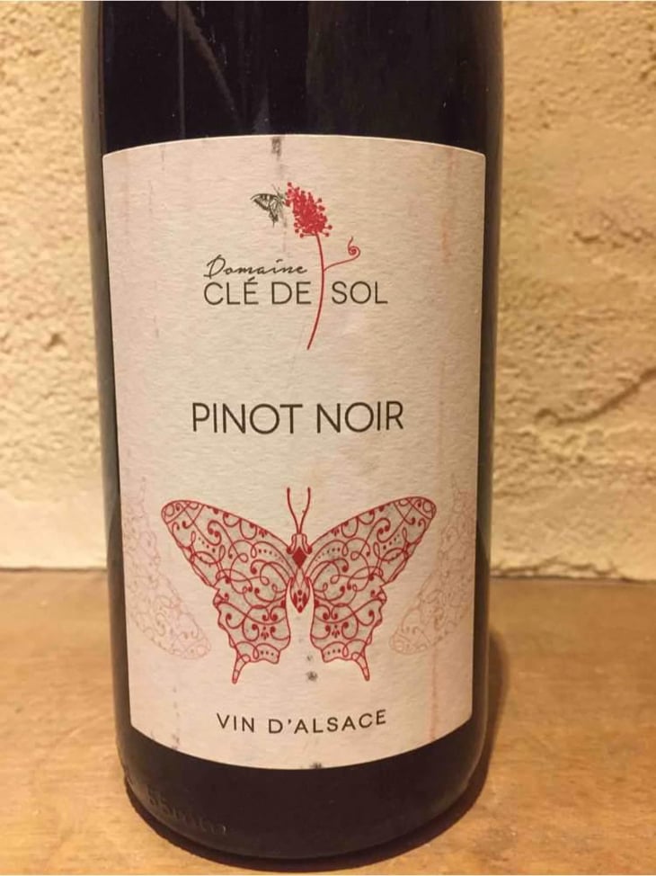 Pinot Noir - Domaine Clé de Sol - Jean & Simon Baltenweck & Yannick Mignot 