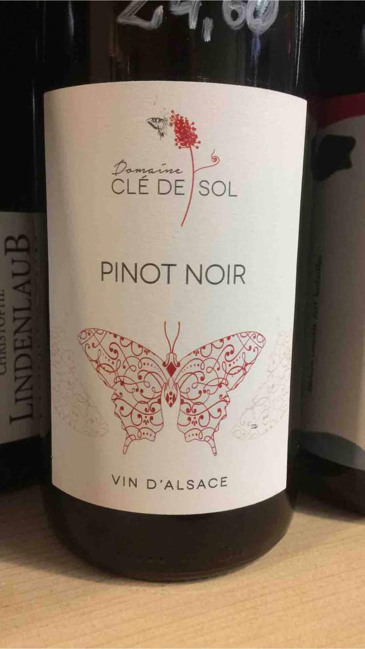 Pinot Noir - Domaine Clé de Sol - Jean & Simon Baltenweck & Yannick Mignot 