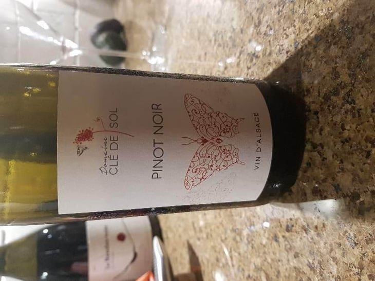Pinot Noir - Domaine Clé de Sol - Jean & Simon Baltenweck & Yannick Mignot 