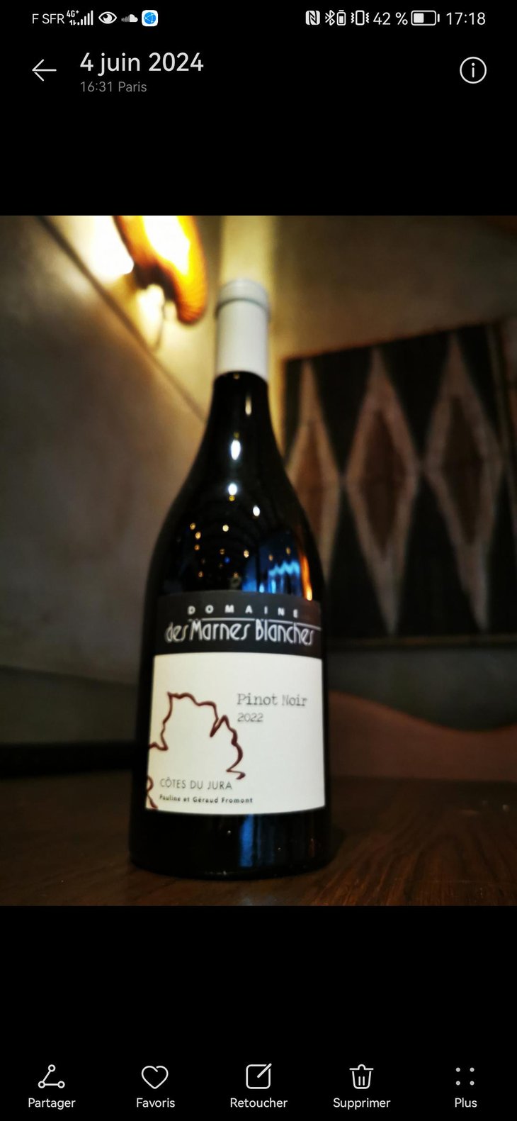 Pinot Noir - Domaine Des Marnes Blanches - Pauline & Géraud Fromont 