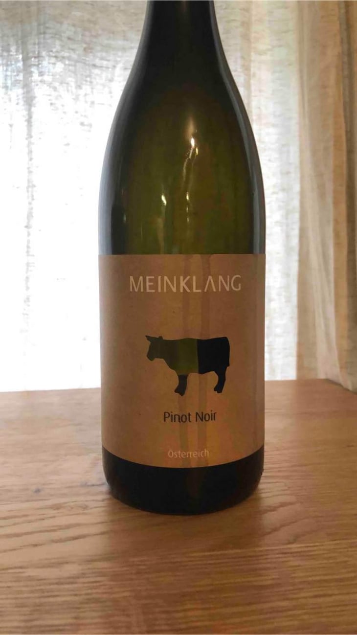 Pinot Noir - Meinklang - Weingut Michlits - Angela & Werner Michlits 