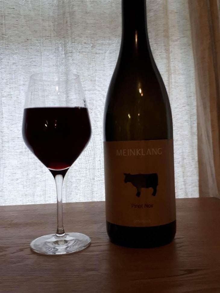 Pinot Noir - Meinklang - Weingut Michlits - Angela & Werner Michlits 