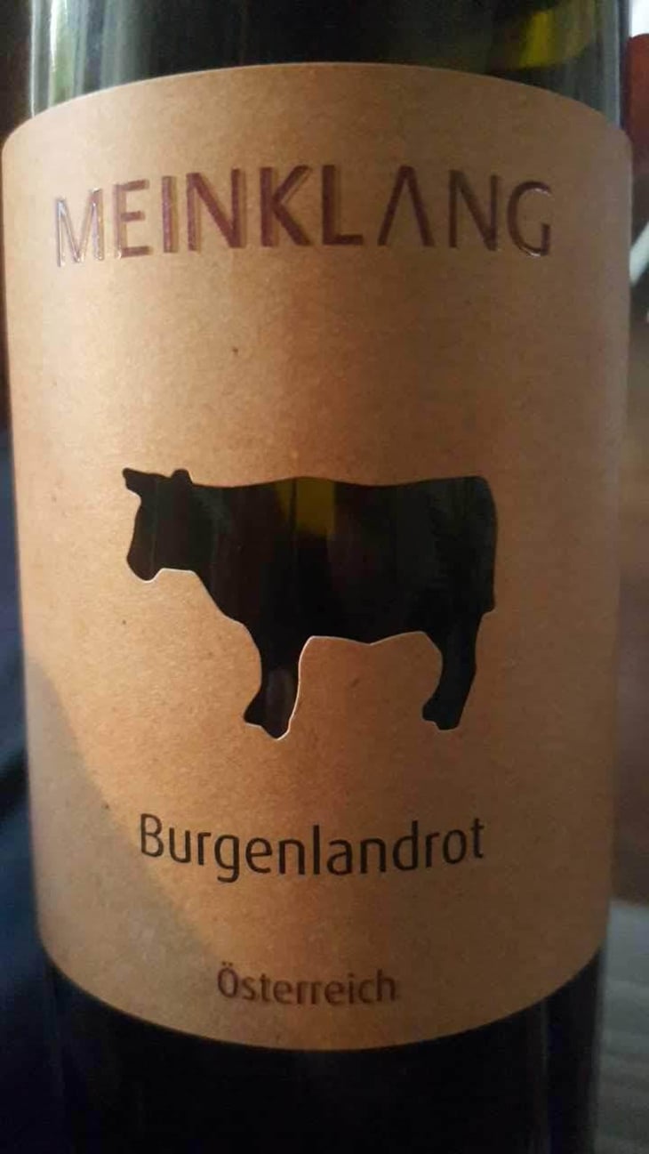 Pinot Noir - Meinklang - Weingut Michlits - Angela & Werner Michlits 