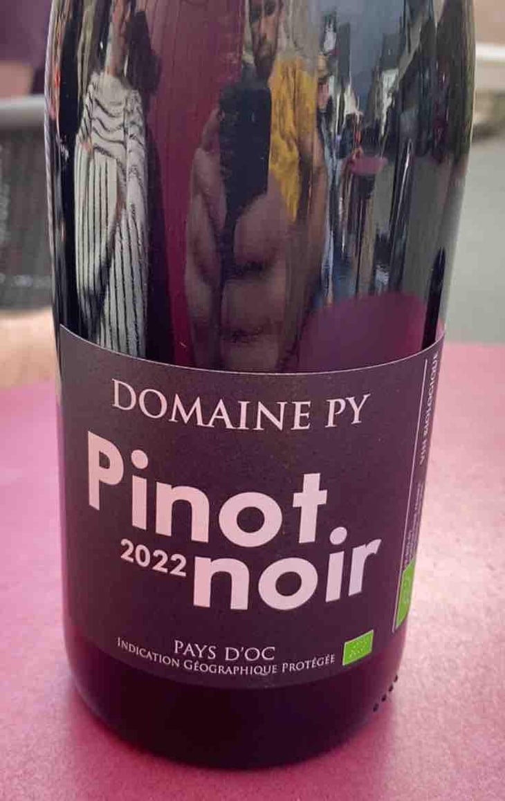 Pinot Noir - Domaine Py - Jean-Pierre Py 