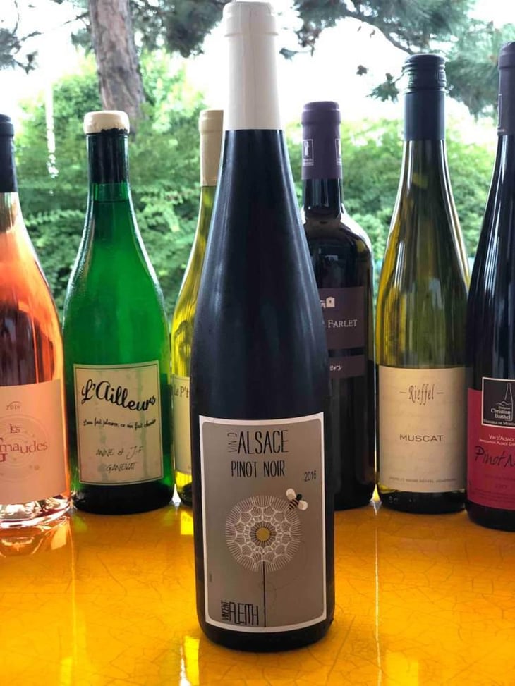 Pinot Noir - Vincent Fleith - Brigitte et Vincent Fleith 