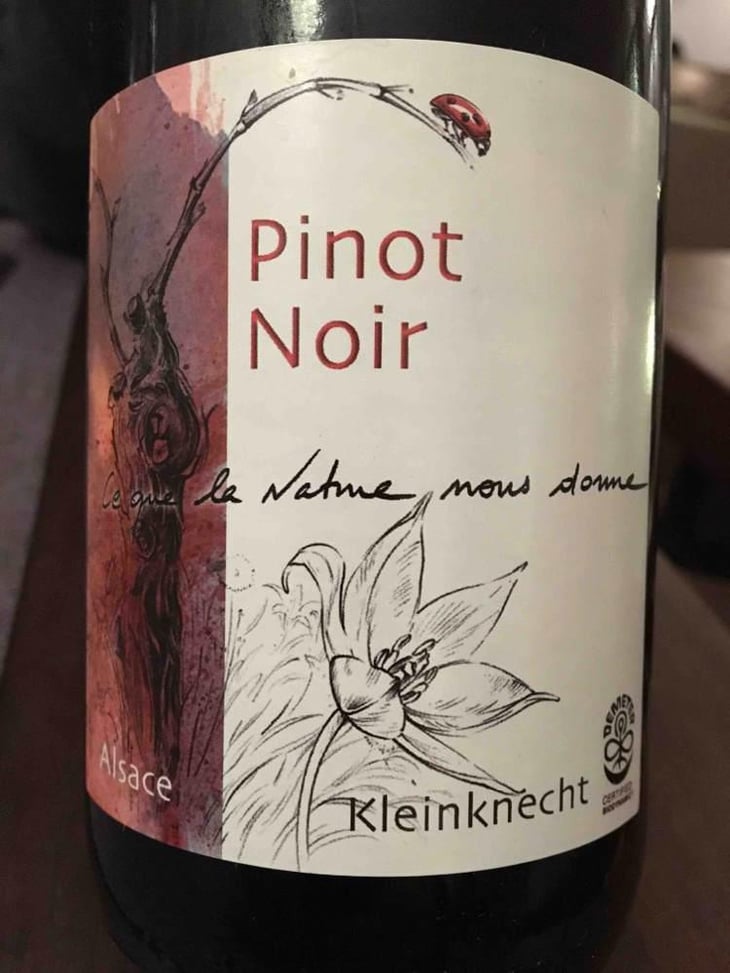 Pinot Noir - Domaine Kleinknecht - André Kleinknecht 