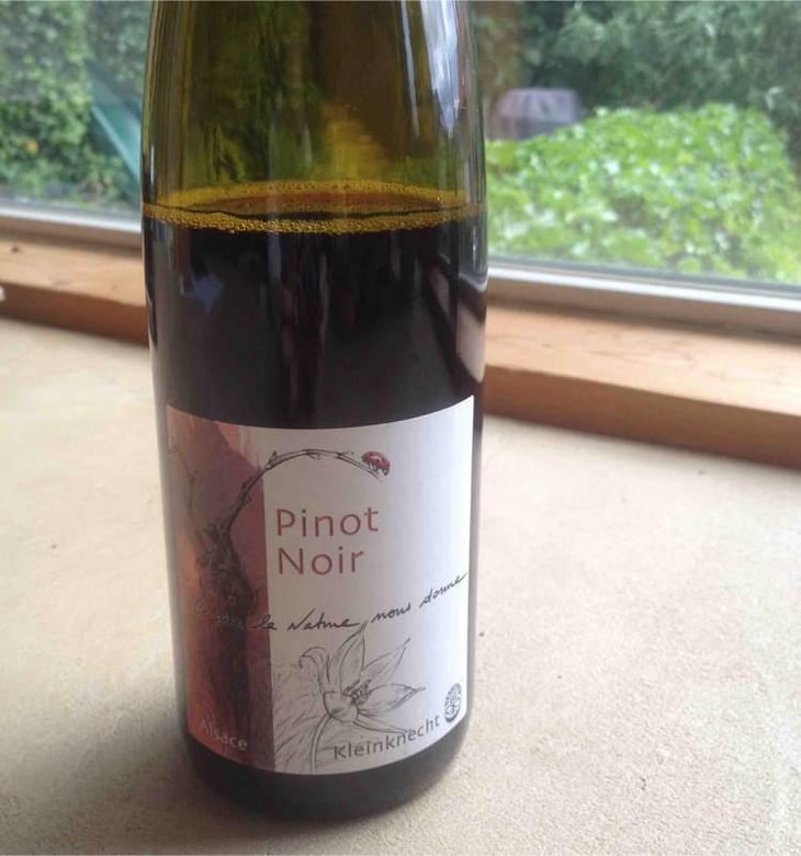 Pinot Noir - Domaine Kleinknecht - André Kleinknecht 