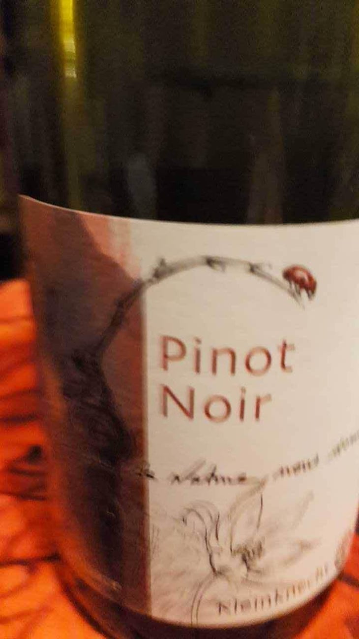 Pinot Noir - Domaine Kleinknecht - André Kleinknecht 