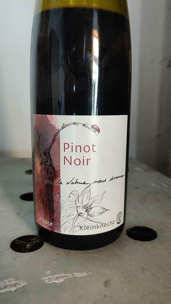 Pinot Noir - Domaine Kleinknecht - André Kleinknecht 