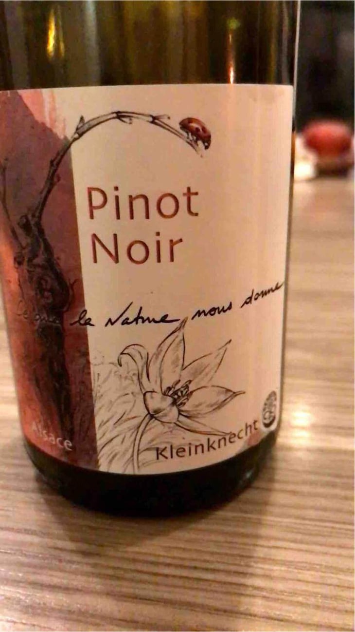 Pinot Noir - Domaine Kleinknecht - André Kleinknecht 