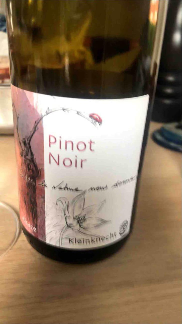 Pinot Noir - Domaine Kleinknecht - André Kleinknecht 
