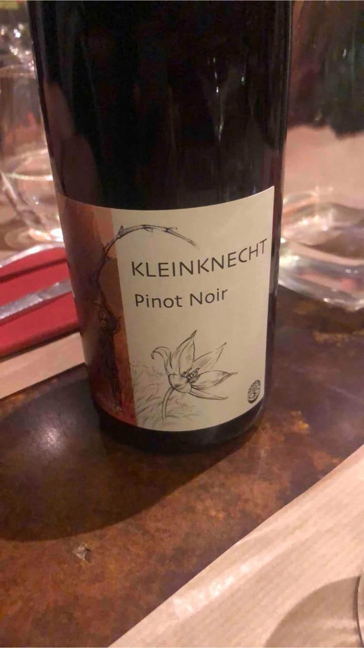Pinot Noir - Domaine Kleinknecht - André Kleinknecht 