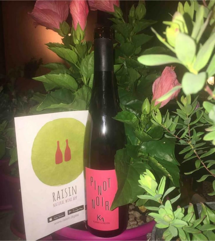 Pinot Noir - Kumpf & Meyer - Julien Albertus 