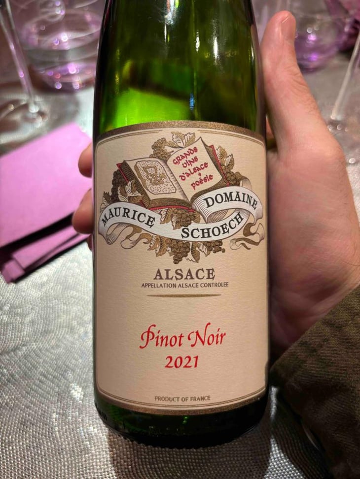 Pinot Noir - Domaine Maurice Schoech - Sébastien et Jean Léon Schoech -2021