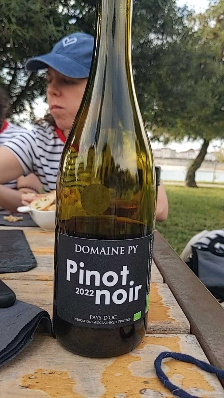 Pinot Noir - Domaine Py - Jean-Pierre Py 