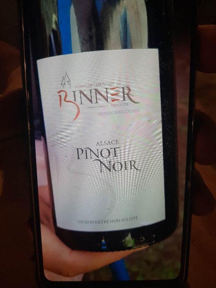 Pinot Noir - Domaine Christian Binner - Christian Binner et son équipe 