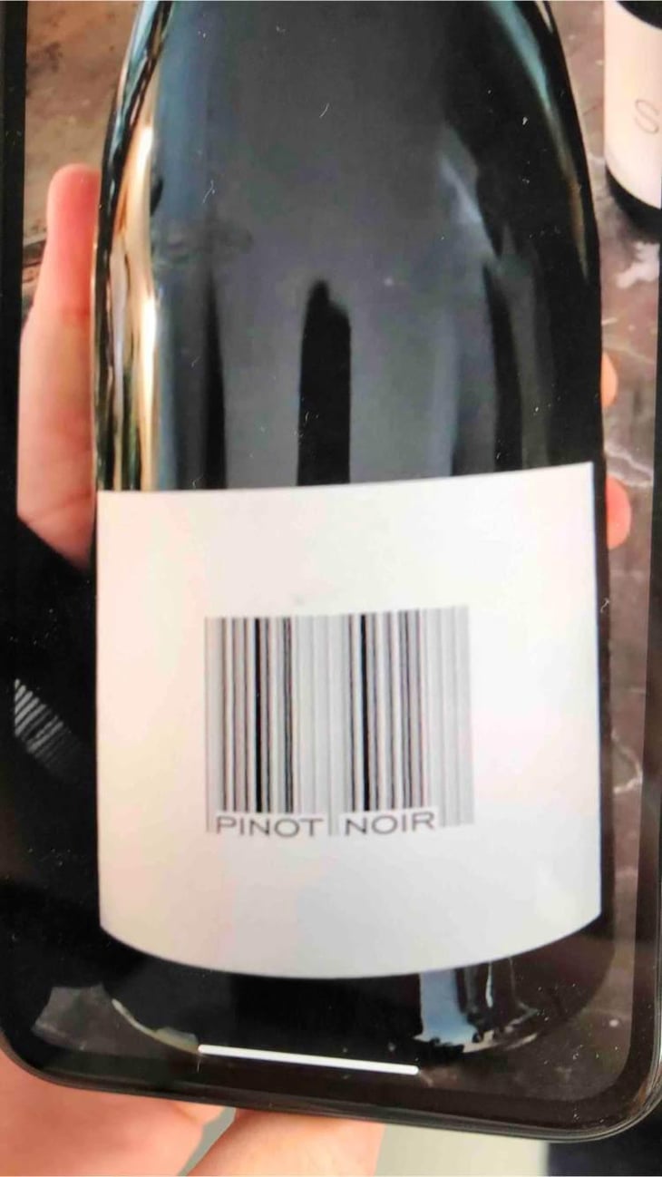 Pinot Noir - Domaine des Maisons Brûlées - Corinne & Paul Gillet 