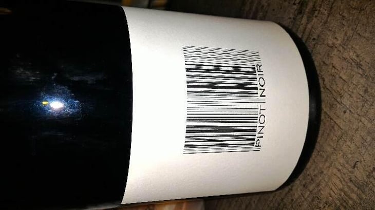 Pinot Noir - Domaine des Maisons Brûlées - Corinne & Paul Gillet 