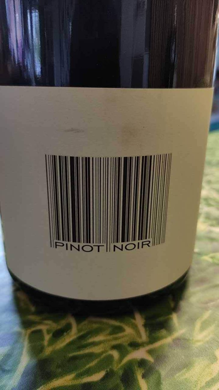 Pinot Noir - Domaine des Maisons Brûlées - Corinne & Paul Gillet 