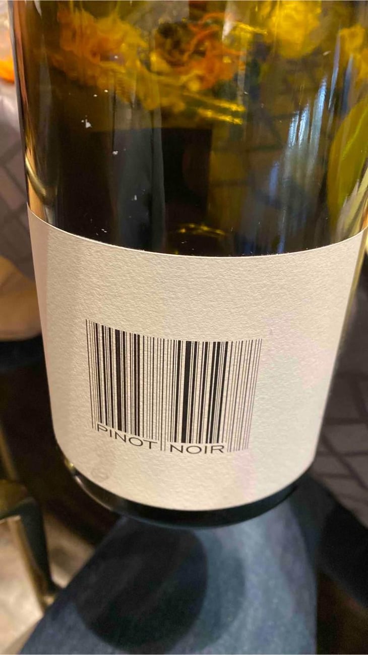 Pinot Noir - Domaine des Maisons Brûlées - Corinne & Paul Gillet 