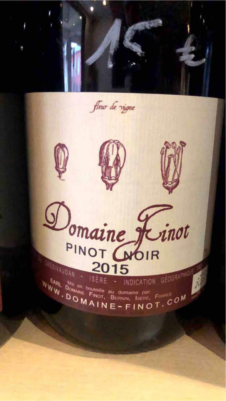 Pinot Noir - Domaine Finot - Thomas Finot 