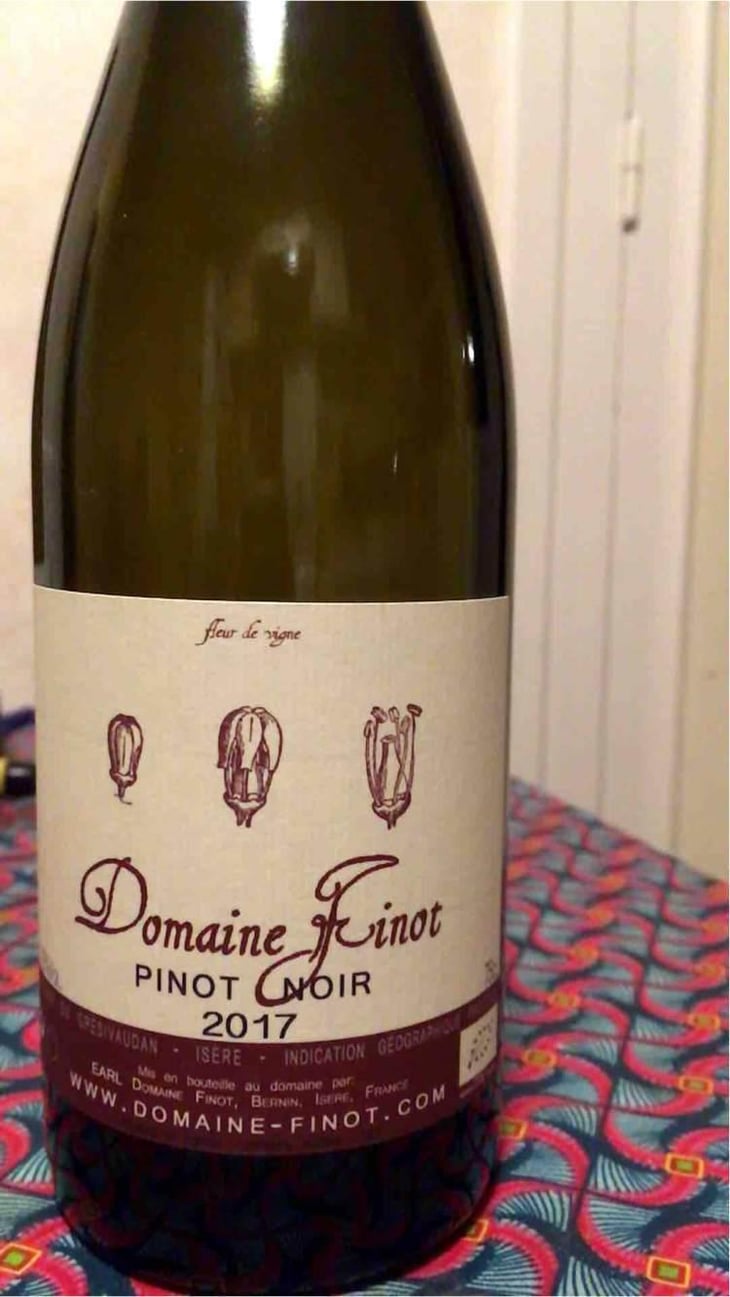Pinot Noir - Domaine Finot - Thomas Finot 