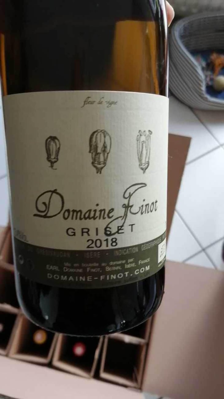 Pinot Noir - Domaine Finot - Thomas Finot 